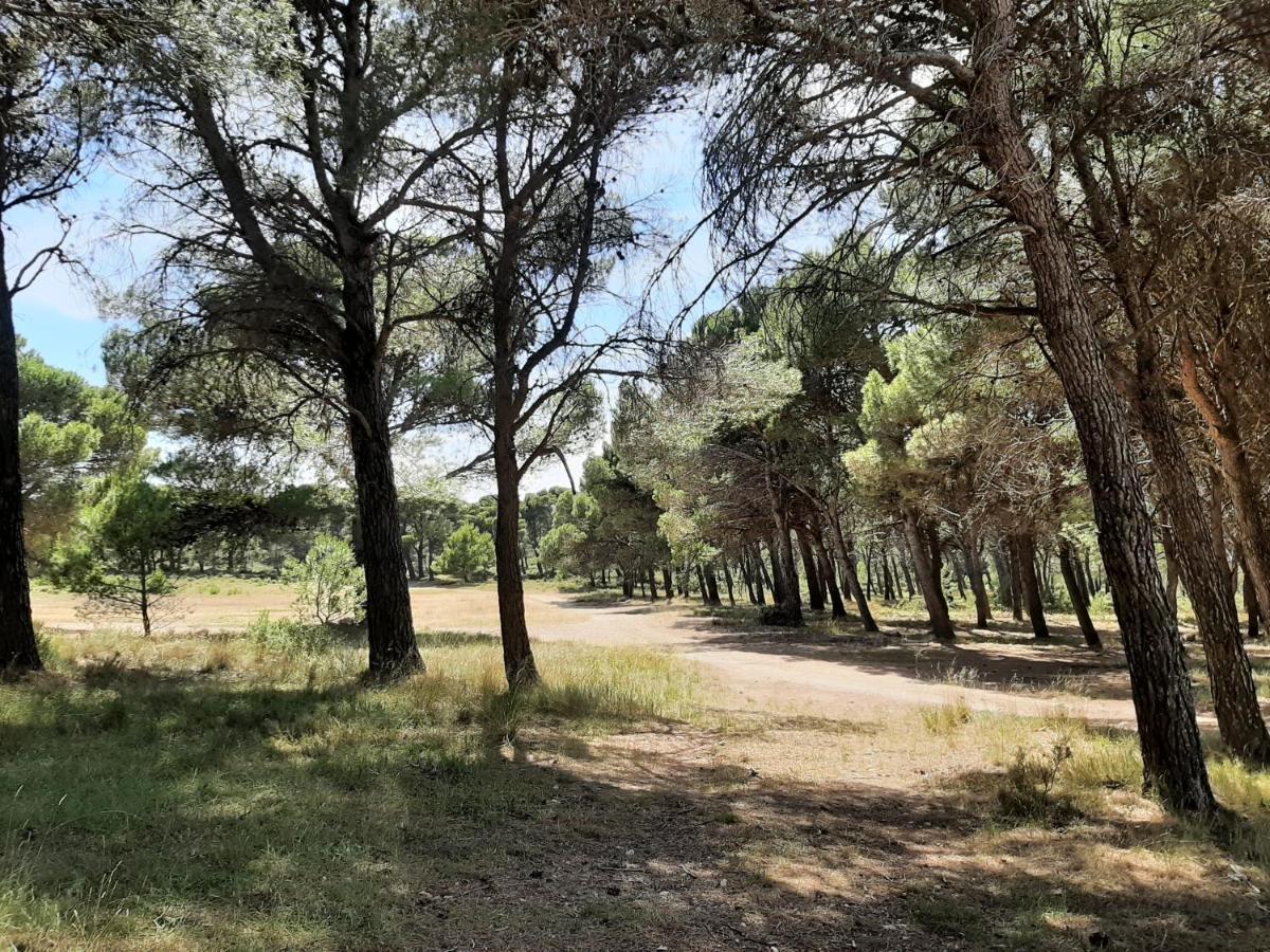 Séjour à la campagne 